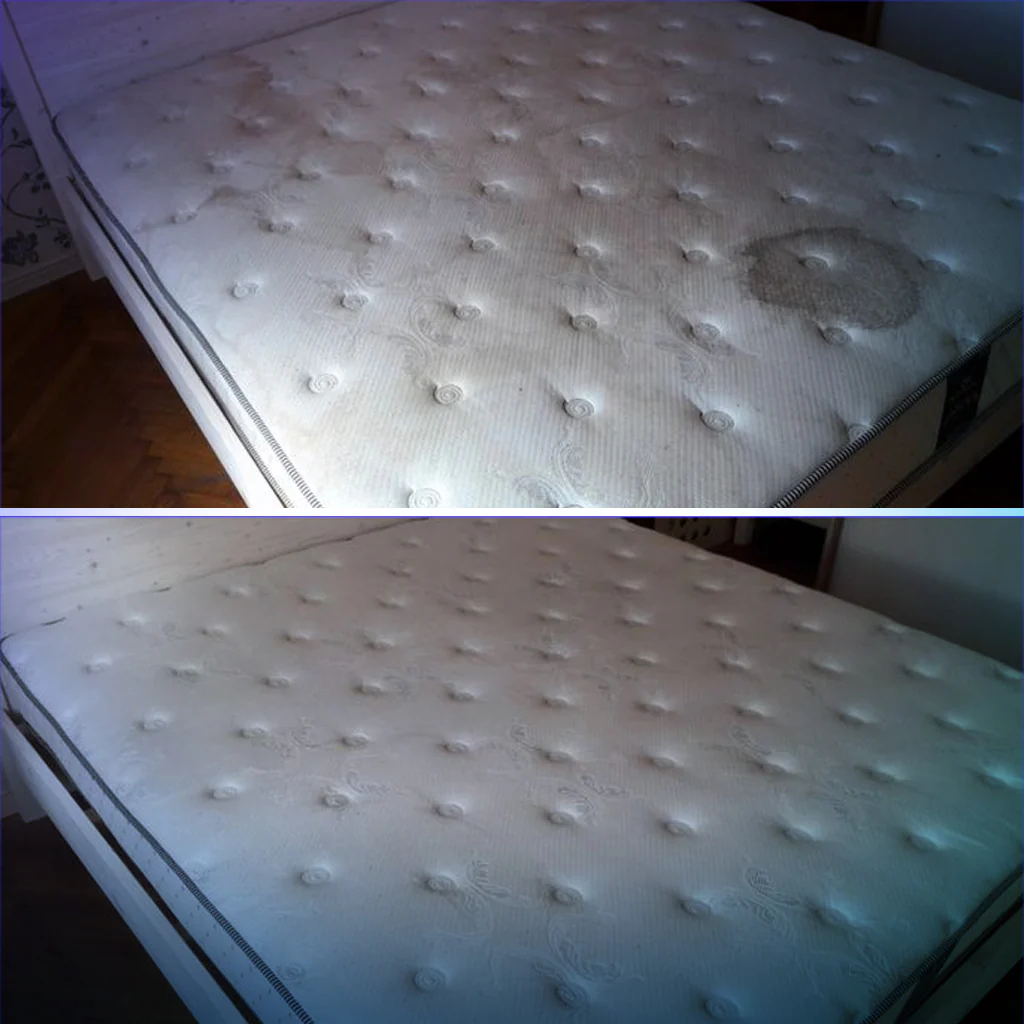 تنظيف وتعقيم المراتب - الصورة 2