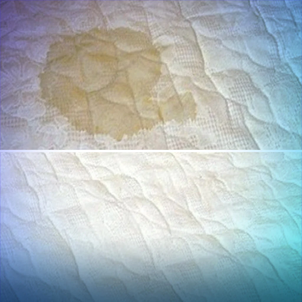 تنظيف وتعقيم المراتب - الصورة 3